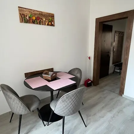 Cozy Flat 아파트 소피아