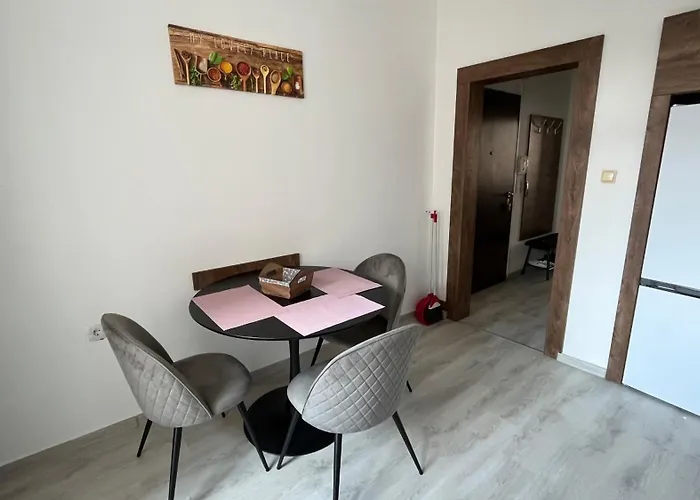 Cozy Flat 公寓 索菲亞